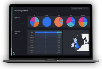 data analyst